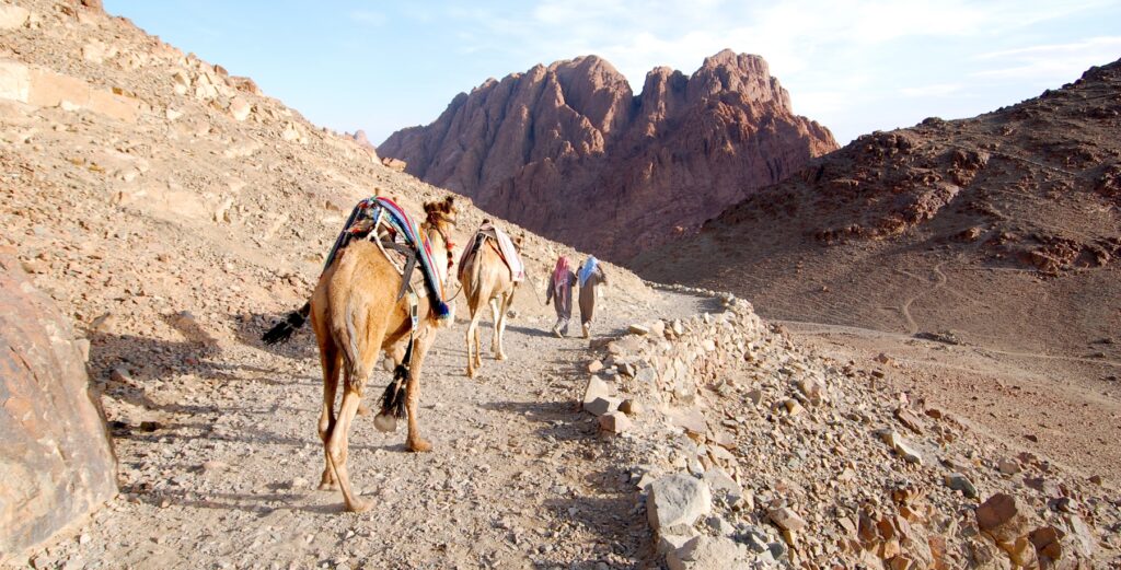 Camel trail on Mount Sinai hiking route